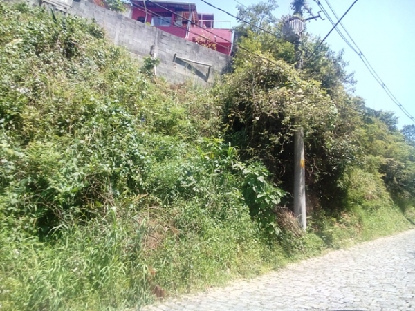 Terreno - Bairro Suíssa - 
